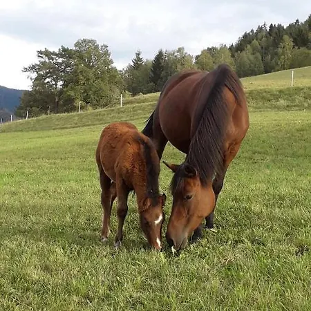 別荘 Francois Mathieu *